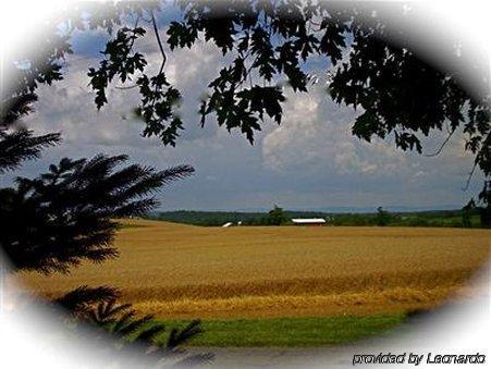 Yellow Turtle Inn Нью-Віндзор Екстер'єр фото